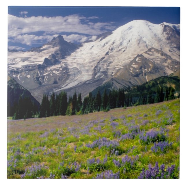Azulejo De Cerâmica EUA, Washington, Parque Nacional Mt. Rainier. (Frente)