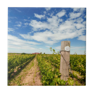 Azulejo De Cerâmica EUA, Washington, Walla Walla. Cabernet Sauvignon