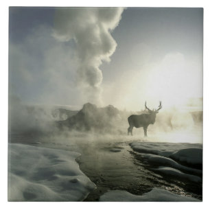 Azulejo De Cerâmica EUA, Wyoming, Parque Nacional de Yellowstone. Nasc
