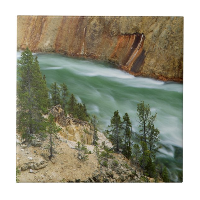 Azulejo De Cerâmica EUA, Wyoming, Parque Nacional Yellowstone (Frente)