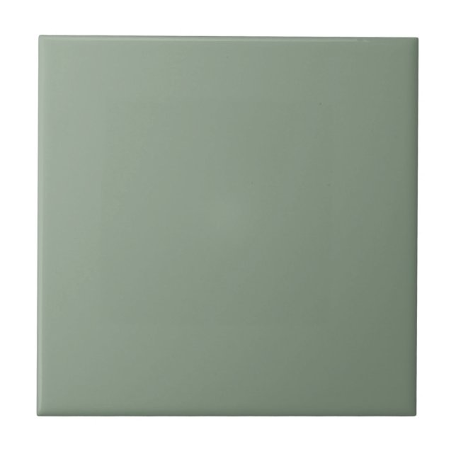 Azulejo De Cerâmica Eucalyptus Green | #8A9C88 (Frente)
