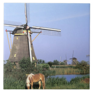 Azulejo De Cerâmica Europa, Países Baixos, Zuid Holland, Kinderdijk.2