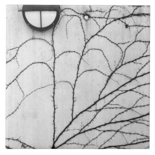 Azulejo De Cerâmica Europa, Suiça, Lucerna. Padrão de Ivy ativado