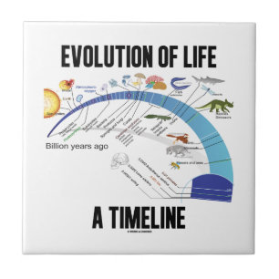 Azulejo De Cerâmica Evolução da vida um espaço temporal (biologia)