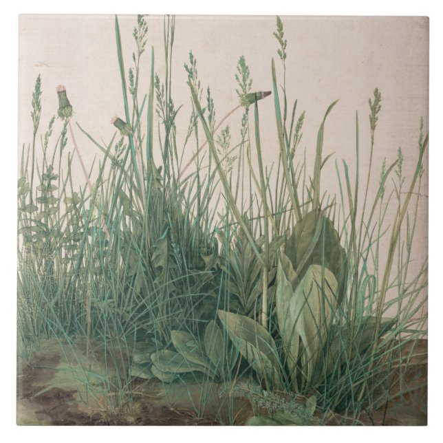 Azulejo De Cerâmica Excelente Peça de Turf (por Albrecht Dürer) (Frente)