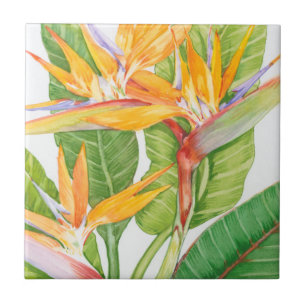 Azulejo De Cerâmica Exotic Flowers Watercolor