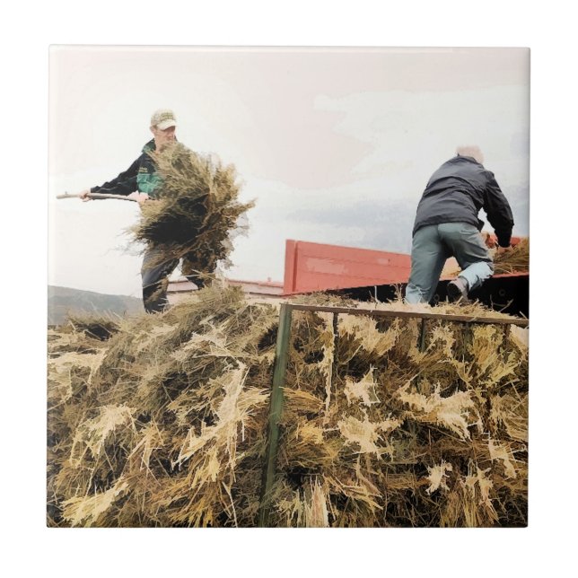 AZULEJO DE CERÂMICA  EXPLORAÇÃO (Frente)