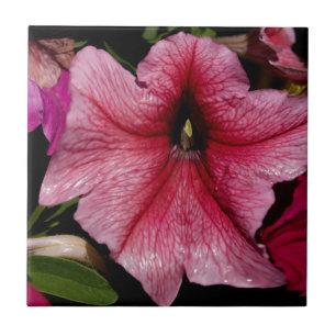 Azulejo De Cerâmica Explosão Floral