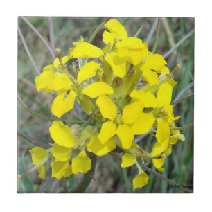 Azulejo De Cerâmica F14 Flores Silvestres Amarelas