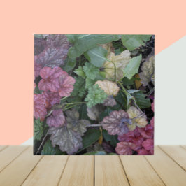 Azulejo De Cerâmica Fábrica de Heuchera Colorida Deixa A Botânica
