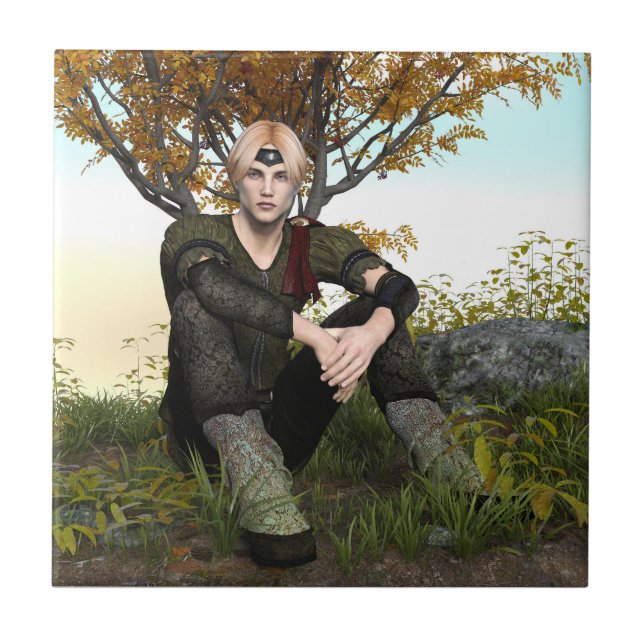 Azulejo De Cerâmica Fada - Contar Príncipe (Frente)