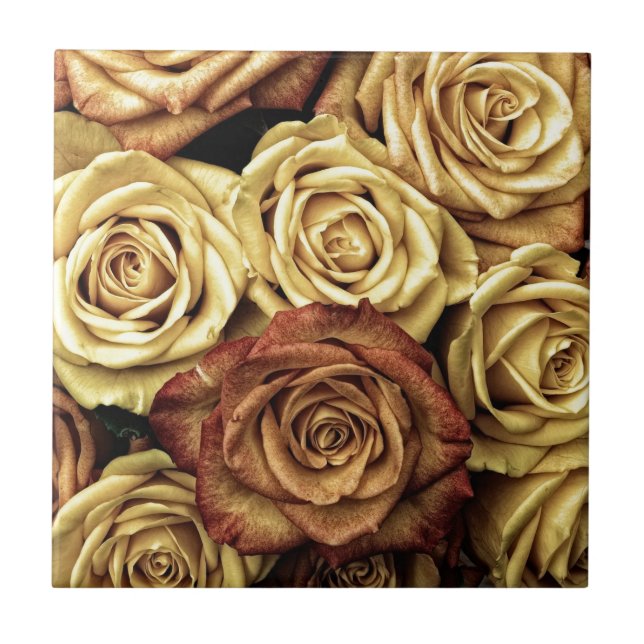 Azulejo De Cerâmica Faded Sepia Roses (Frente)