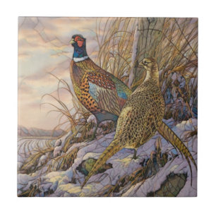 Azulejo De Cerâmica faisão