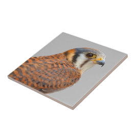 Azulejo De Cerâmica Falcão Americano Kestrel Sparrowhawwawk espantoso