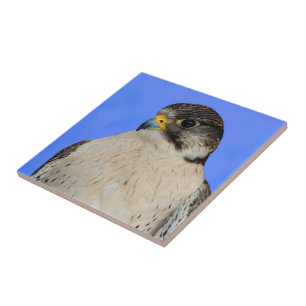 Azulejo De Cerâmica Falcão Híbrido Giro-Falcão Incrível