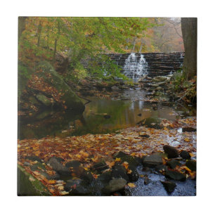 Azulejo De Cerâmica Fall Waterfall e Creek Pennsylvania Nature Photo