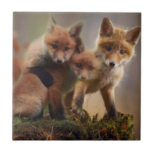 Azulejo De Cerâmica Família bonito do Fox