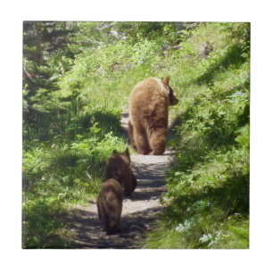 Azulejo De Cerâmica Família Brown Bear