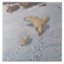 Família de Ursos Polares na Neve Ártica