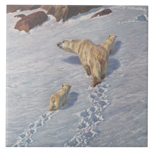 Azulejo De Cerâmica Família de Ursos Polares na Neve Ártica (Frente)