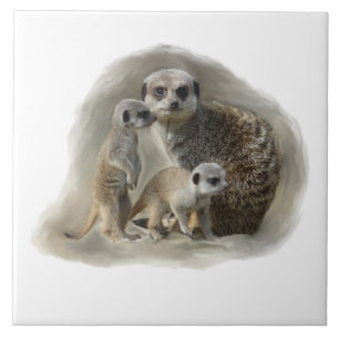 Azulejo De Cerâmica família do meerkat