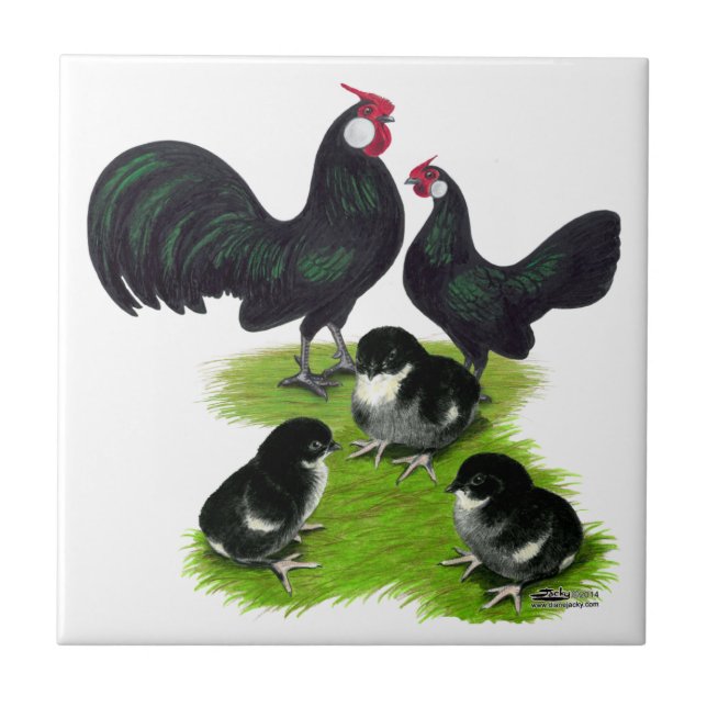 Azulejo De Cerâmica Família Rosecomb Black Bantam (Frente)