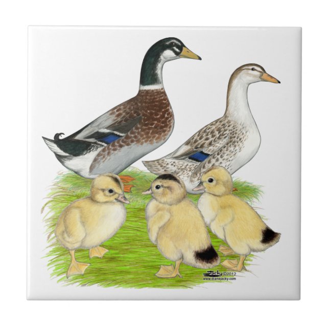 Azulejo De Cerâmica Família Silver Appleyard (Frente)