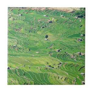 Azulejo De Cerâmica Famosos terraços de arroz yuanyang - Yunnan, China