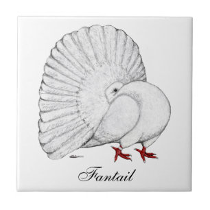 Azulejo De Cerâmica Fantail Pigeon White