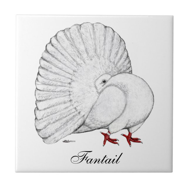 Azulejo De Cerâmica Fantail Pigeon White (Frente)