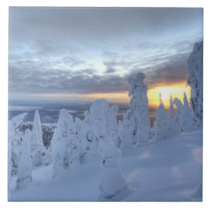 Azulejo De Cerâmica Fantasmas de neve ao pôr do sol na Montanha Whitef