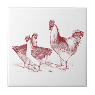 Azulejo De Cerâmica Farmácia, animais de galinha