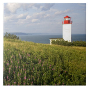 Azulejo De Cerâmica Farol de St. Martins, New Brunswick,