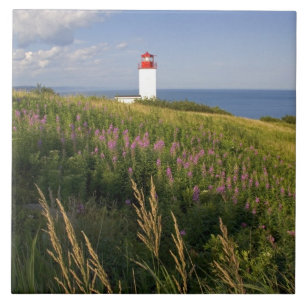 Azulejo De Cerâmica Farol em St. Martins, New Brunswick, 2