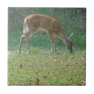 Azulejo De Cerâmica faun, veado bebê no lago Arrohead