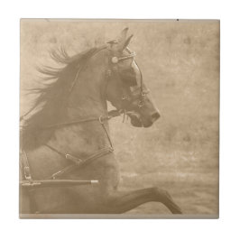 Azulejo De Cerâmica Faux Vintage Hackney