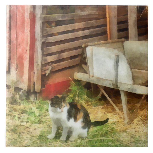 Azulejo De Cerâmica Fazenda Cat (Frente)