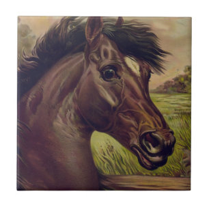 Azulejo De Cerâmica fazenda de cavalos rancho passeio esportes ocident