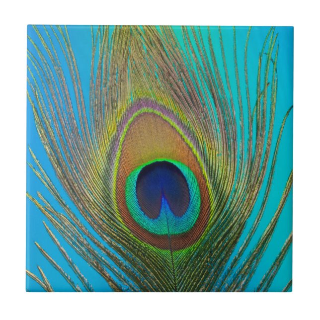 Azulejo De Cerâmica Fechar a pena de pavão (Frente)