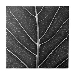 Azulejo De Cerâmica Fecho de folhas brilhantes a preto e branco