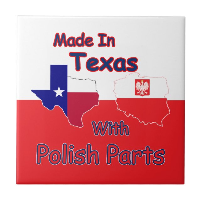 Azulejo De Cerâmica Feito No Texas Com Peças Poloneses (Frente)