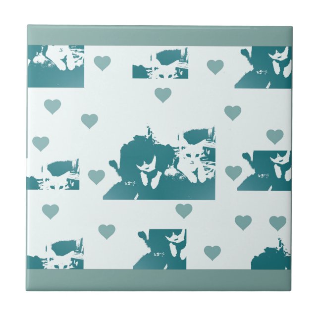 Azulejo De Cerâmica Feline Friends. Adorable Kitten Duo. (Frente)