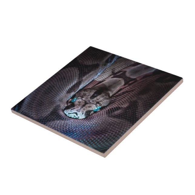 Azulejo De Cerâmica Feliz Aniversário Cobra (Lateral)