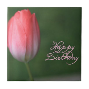 Azulejo De Cerâmica feliz aniversário tulipa vermelha flor