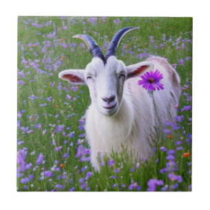 Azulejo De Cerâmica Feliz Goat