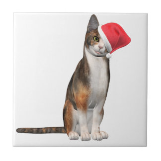Azulejo De Cerâmica Feliz Natal com um gato brincalhão num chapéu
