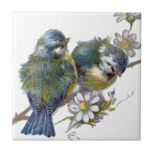 Azulejo De Cerâmica Felizes Aves Vintage