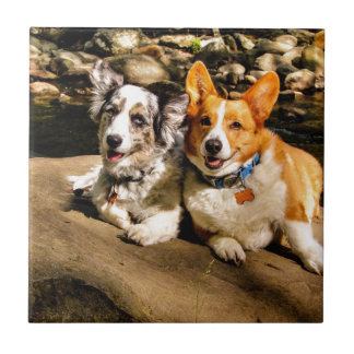 Azulejo De Cerâmica Férias de Maggie e de Charlie