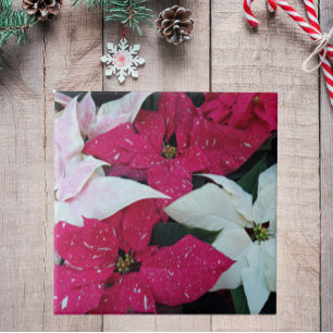 Azulejo De Cerâmica Férias Festivas Poinsettias Floral