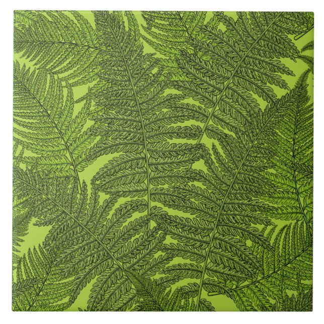 Azulejo De Cerâmica Fern em verde (Frente)
